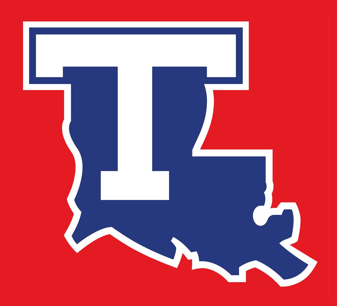 Louisiana Tech Bulldogs 2008-Pres Alternate Logo v2 diy DTF decal sticker